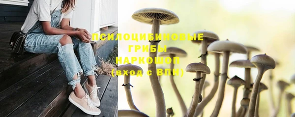 а пвп мука Армянск