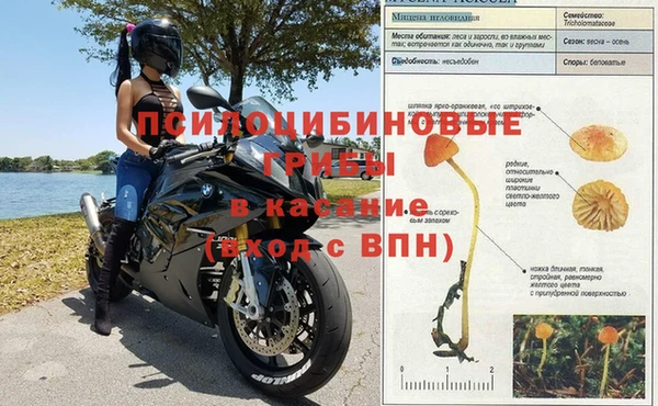а пвп мука Армянск
