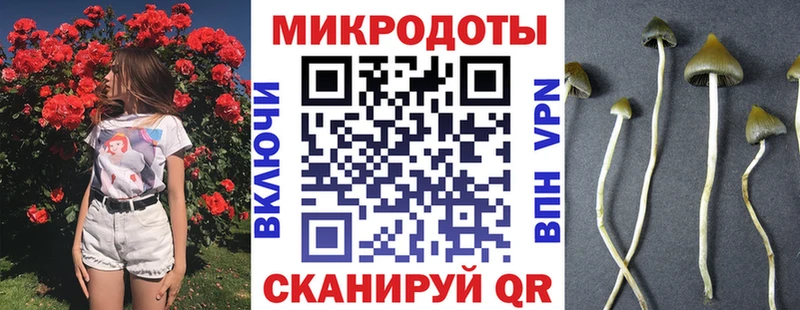 наркотики  Гаджиево  Псилоцибиновые грибы Magic Shrooms 